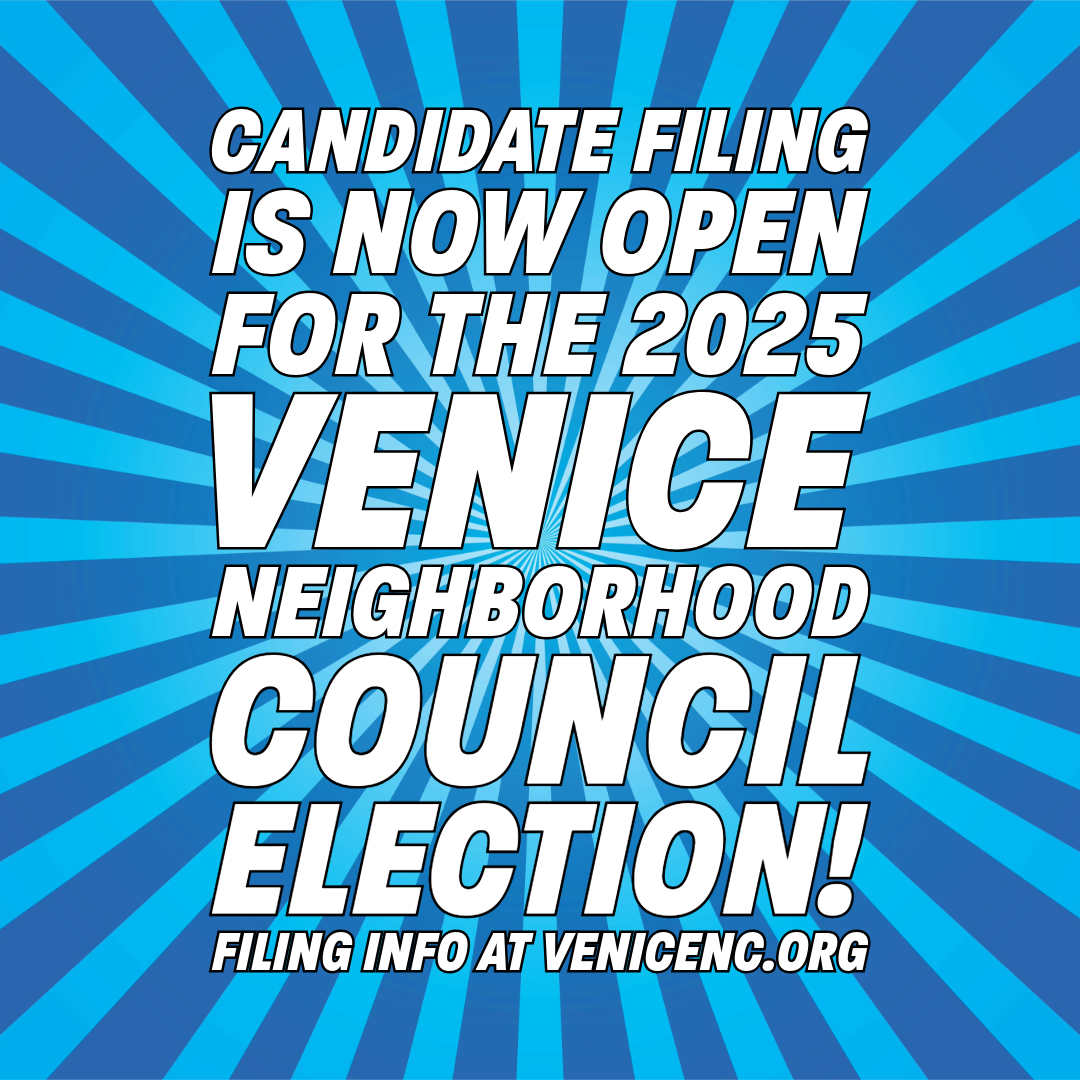 2025 VNC candidate filing is open!